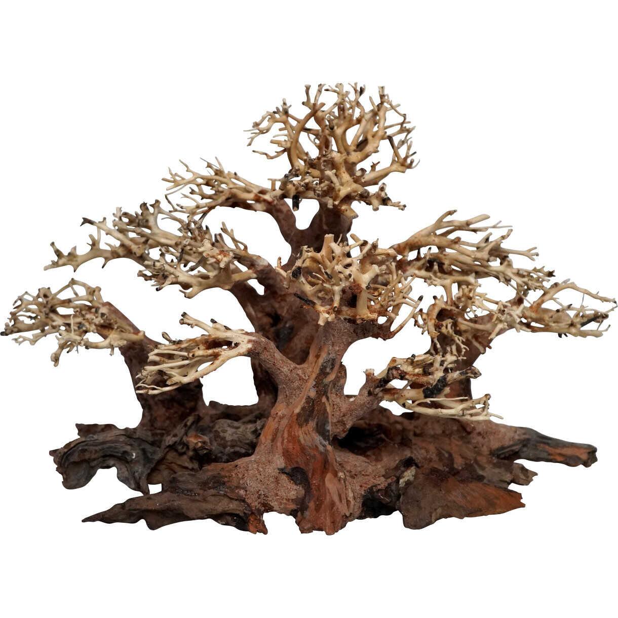 4FISH Aquarium Dekoration Mini Wald Bonsai Baum – MegaPetShop