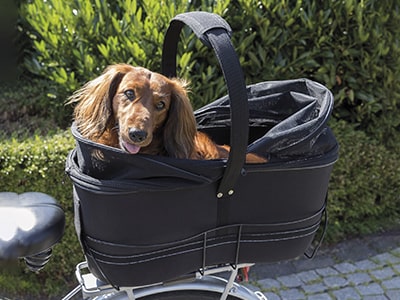 Hundefahrradkorb
