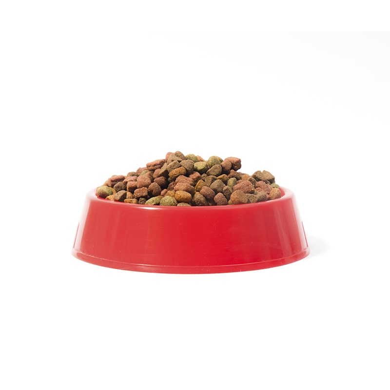 Trockennahrung für Hunde