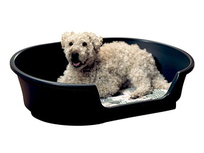 Hundekorb aus Plastik