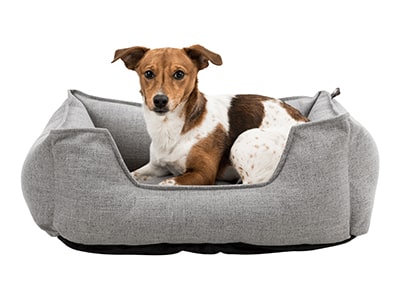 Hundekorb fürs Auto