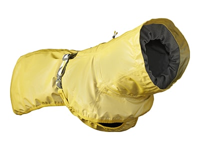 Winterkleidung für kleine Hunde