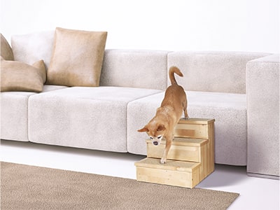 Hundetreppe fürs Bett