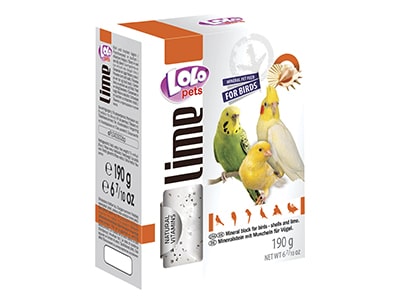 Mineralsteine & Sepiaschalen