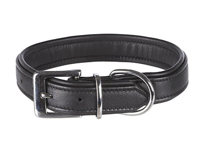 Hundehalsband aus Leder