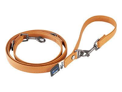 Hundeleine aus Leder