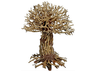 Sonstige Aquariendeko