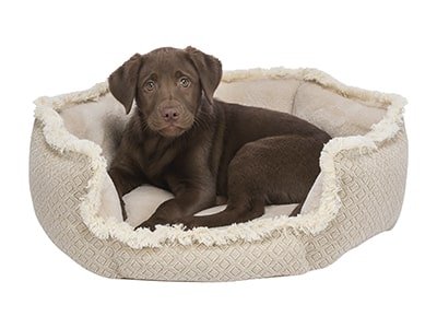 Große Hundekörbe - MegaPetShop