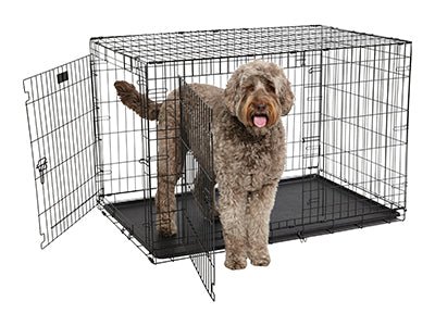Hundebox XXL - MegaPetShop