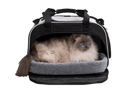 Hundetasche für Auto