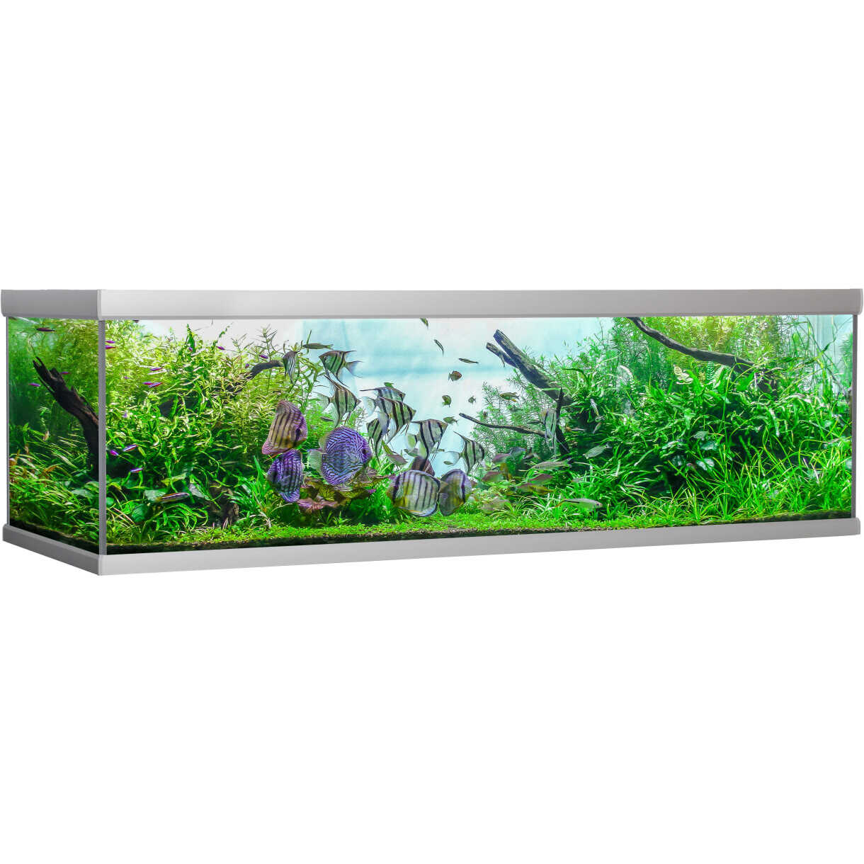 AkvaStabil fusion aquarium - 200 x 75 x 64 cm - 900 Liter - silberfarben