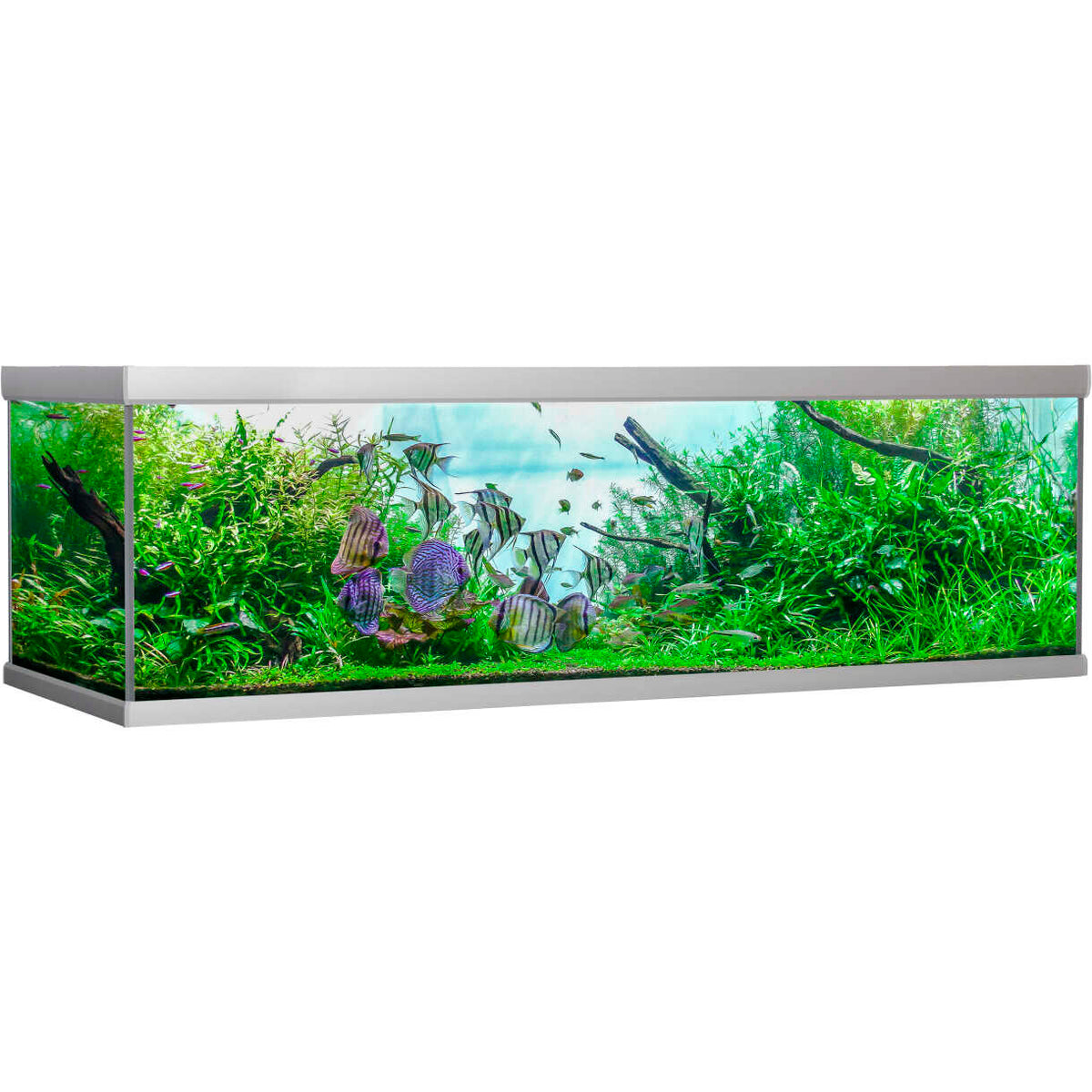 AkvaStabil fusion aquarium - 200 x 75 x 64 cm - 900 Liter - silberfarben