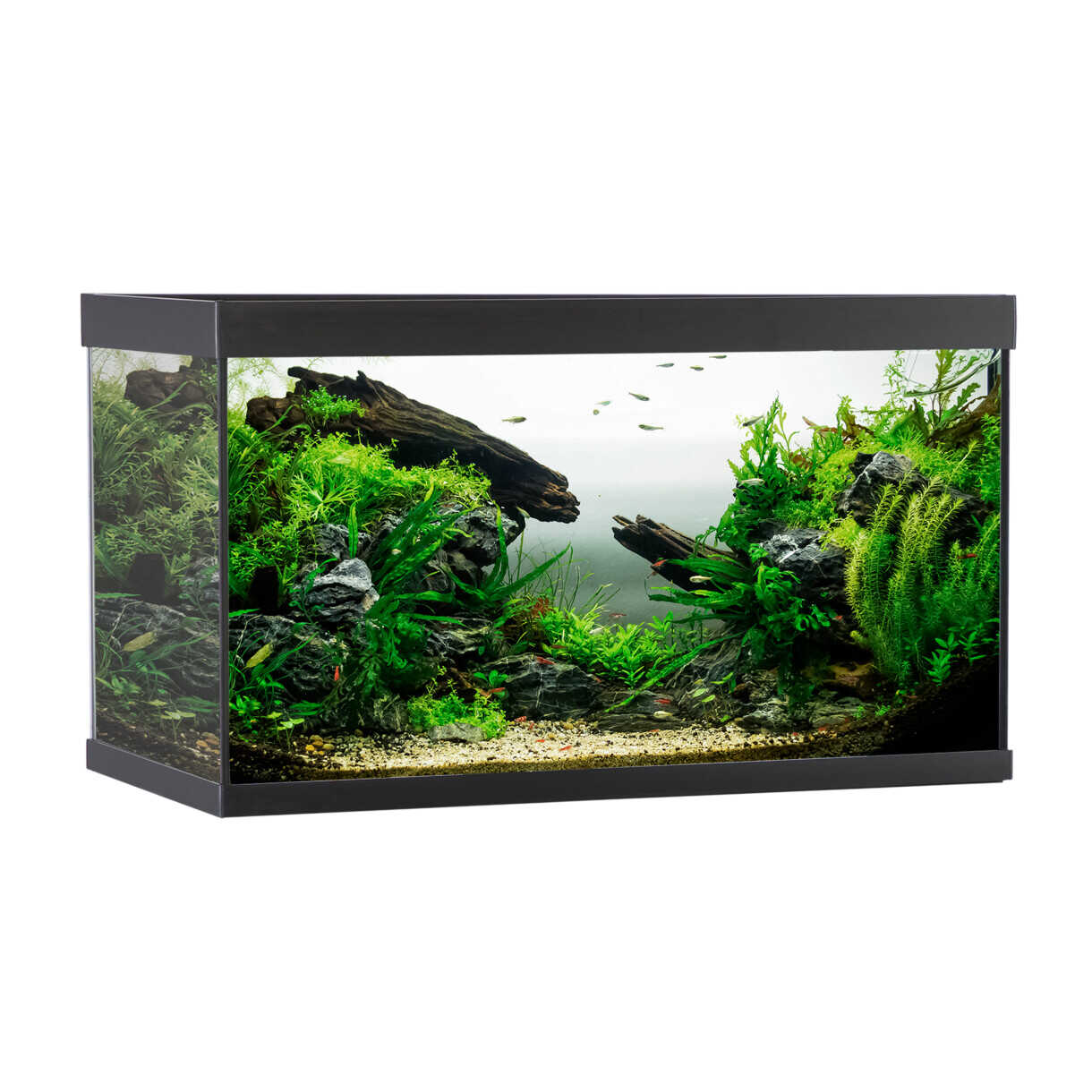 AkvaStabil Elementaquarium - 80 x 40 x 48 cm - schwarz mit Filter - Heizung und LED Beleuchtung - 144 Liter