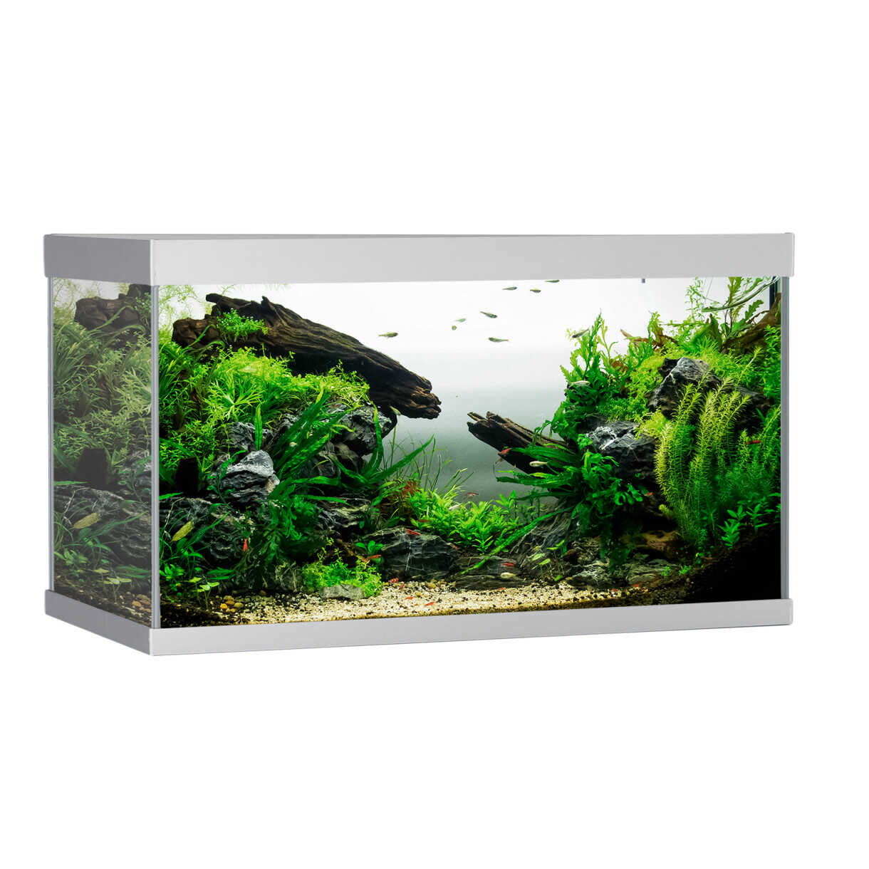 AkvaStabil Elementaquarium - 80 x 40 x 48 cm - silber mit Filter - Heizung und LED Beleuchtung - 144 Liter