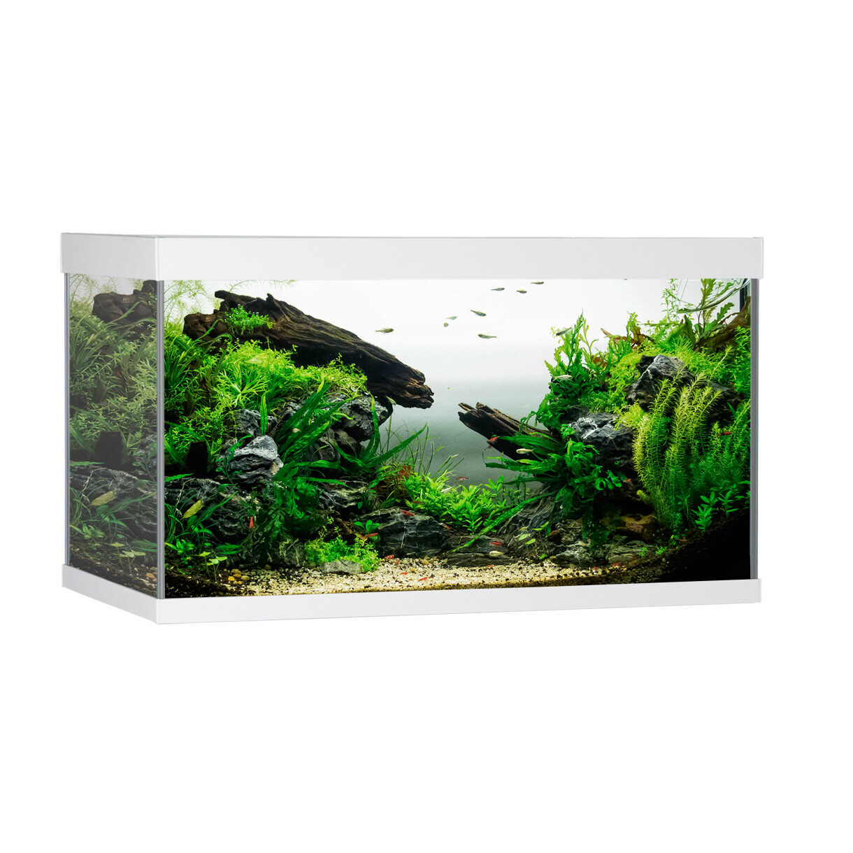 AkvaStabil Elementaquarium - 80 x 40 x 48 cm - weiß mit Filter - Heizung und LED-Beleuchtung - 144 Liter