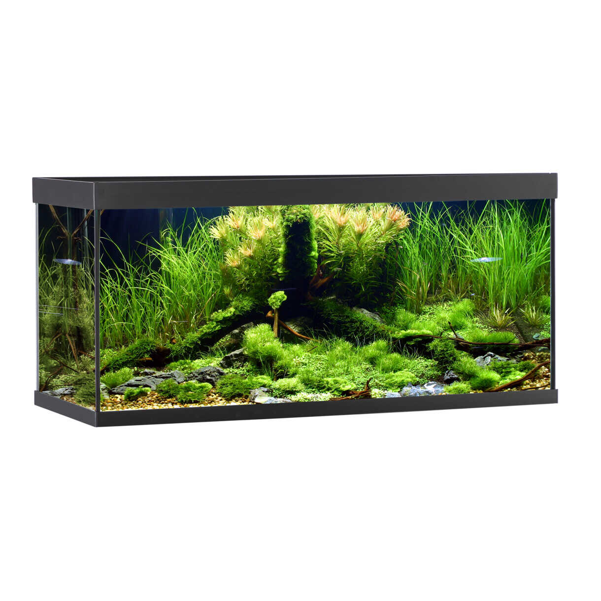 AkvaStabil Elementaquarium - 100 x 40 x 48 cm - schwarz - mit Filter - Heizung und LED-Beleuchtung - 180 Liter