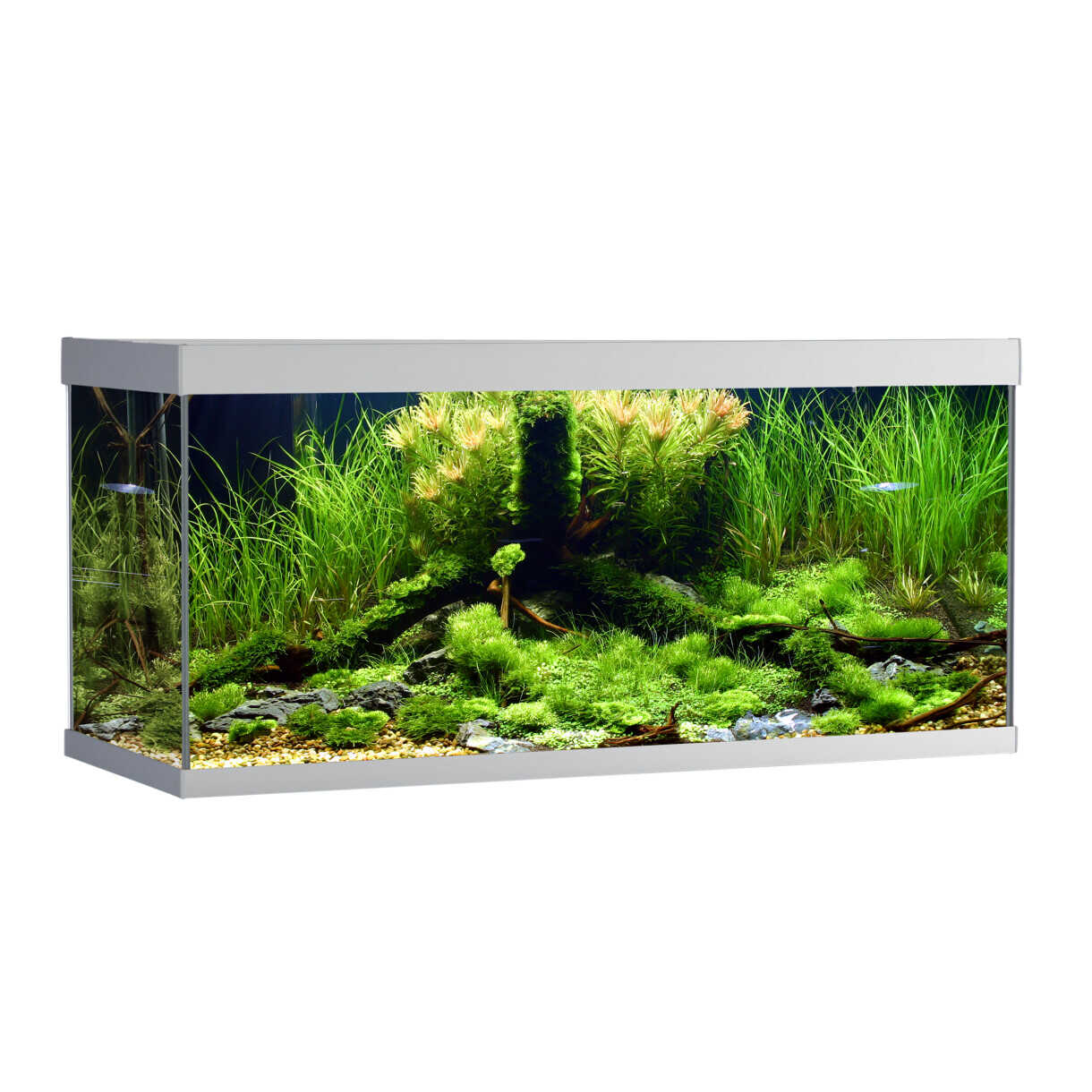 AkvaStabil Elementaquarium - 100 x 40 x 48 cm - silber - mit Filter - Heizung und LED Beleuchtung - 180 Liter