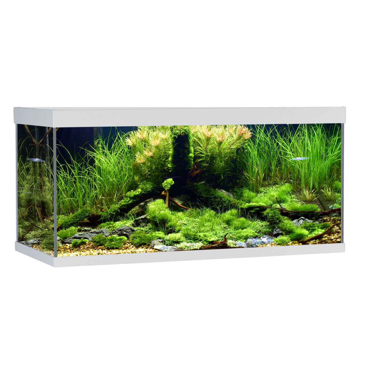 AkvaStabil Elementaquarium 180 Liter - 100 x 40 x 48 cm - weiß mit Filter - Heizung und LED Beleuchtung - 144 Liter