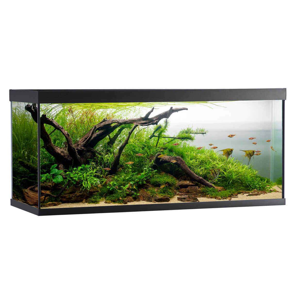 AkvaStabil Elementaquarium - 120 x 40 x 53 cm - schwarz - mit Filter - Heizung und LED-Beleuchtung - 240 Liter