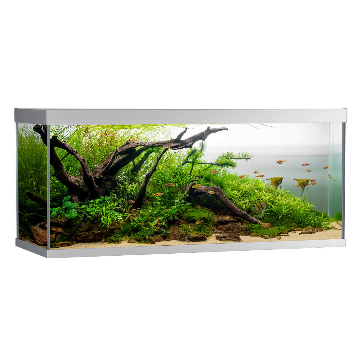 AkvaStabil Elementaquarium - 120 x 40 x 53 cm - silber - mit Filter - Heizung und LED Beleuchtung - 240 Liter