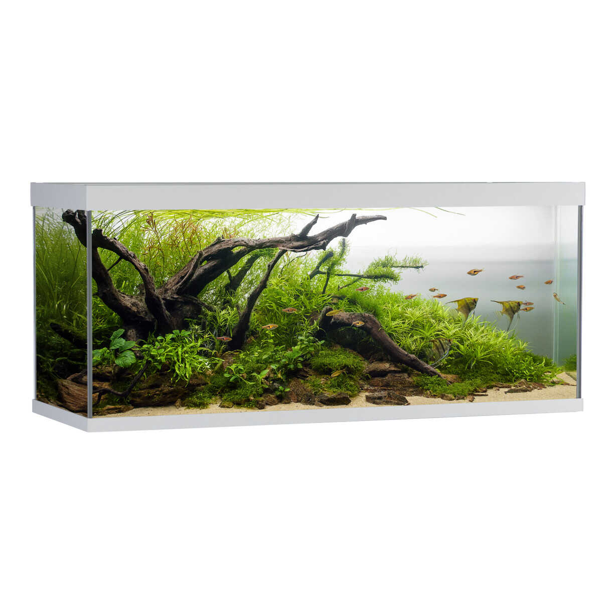 AkvaStabil Elementaquarium - 120 x 40 x 53 cm - weiß - mit Filter - Heizung und LED-Beleuchtung - 240 Liter