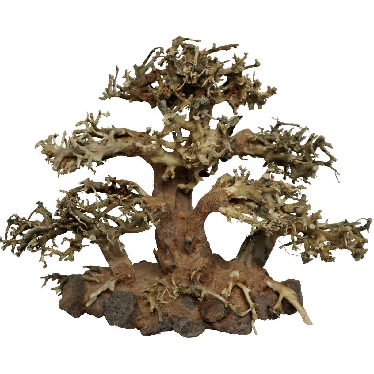 4FISH Aquarium Dekoration großer Bonsaibaum