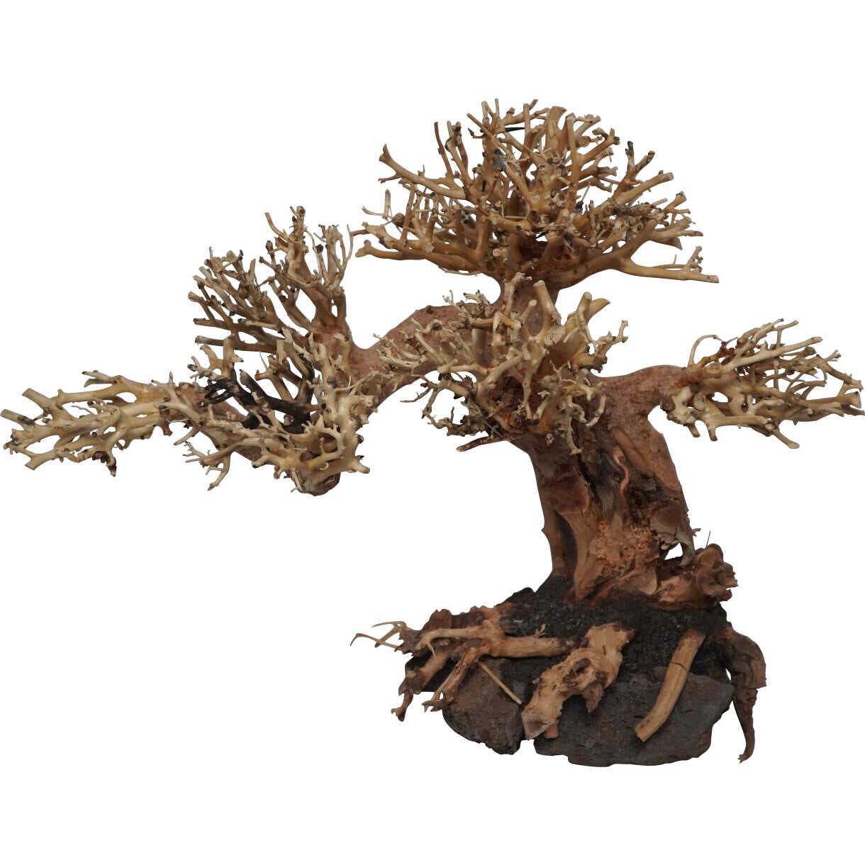 4FISH Aquarium Dekoration Bonsaibaum