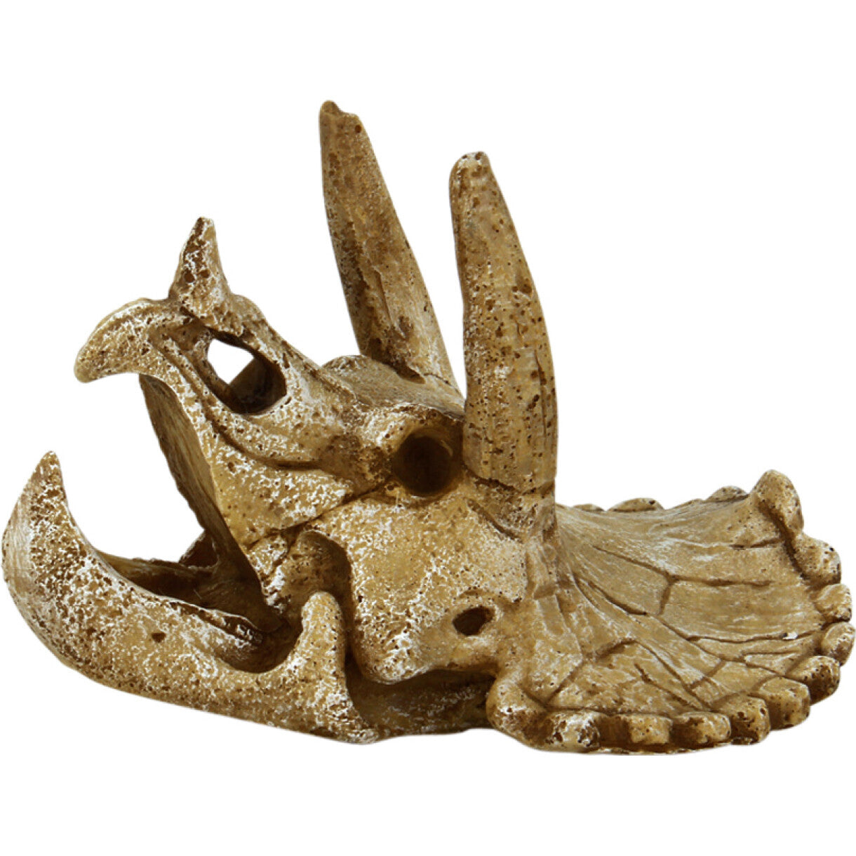 4FISH Aquarium Dekoration Totenkopf 14,3 x 12 x 9,7 cm