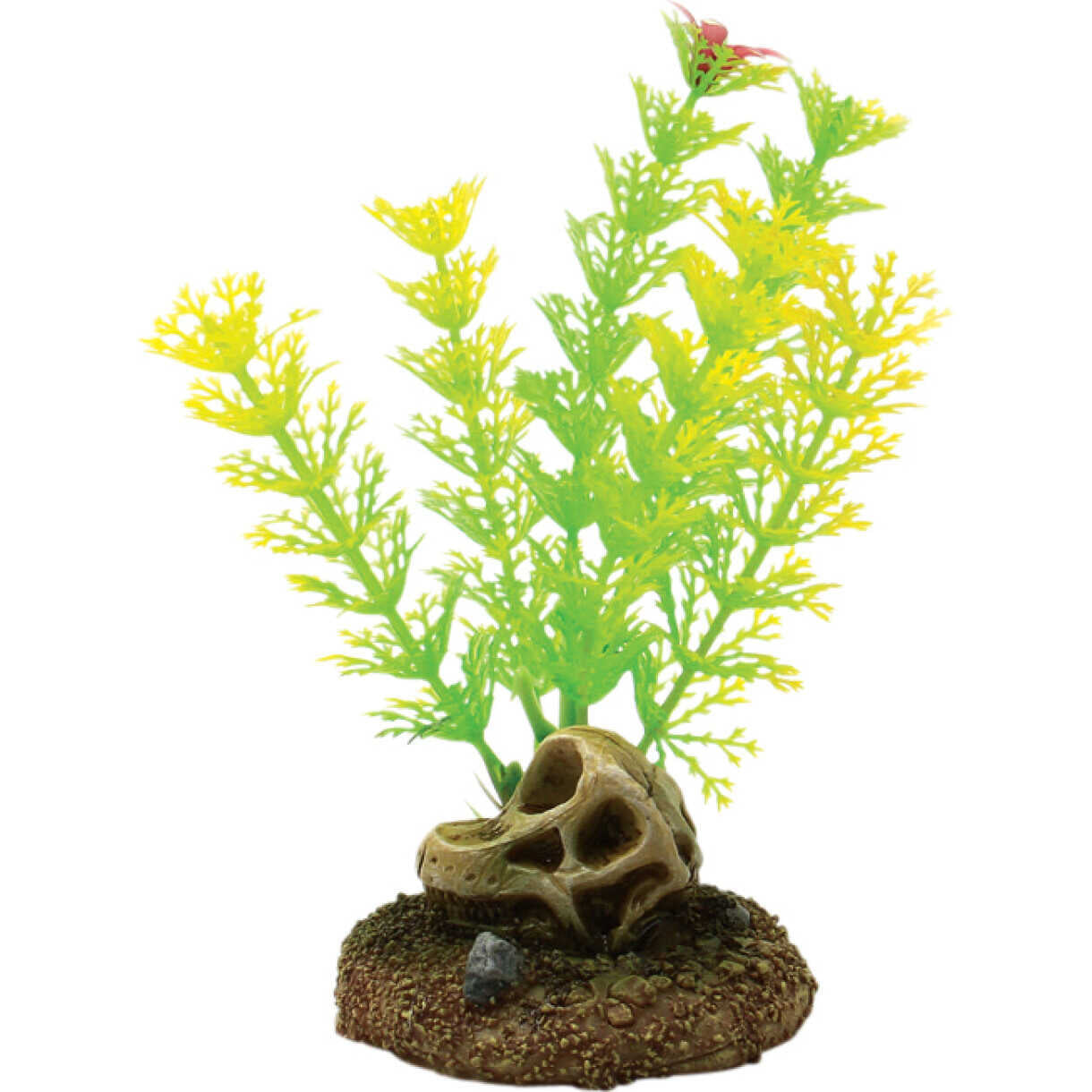 4FISH Aquarium Kunststoff Pflanze Schädel und Pflanzen 6,5 x 6,3 x 13,3 cm