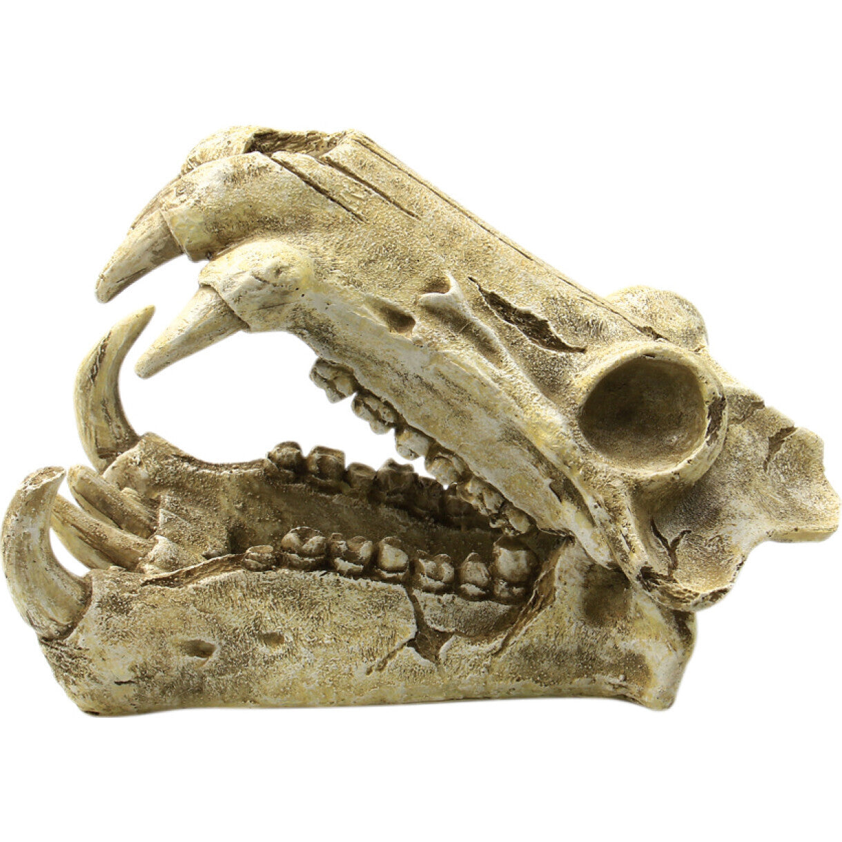 4FISH Aquarium Dekoration Totenkopf 20 x 11 x 13 cm