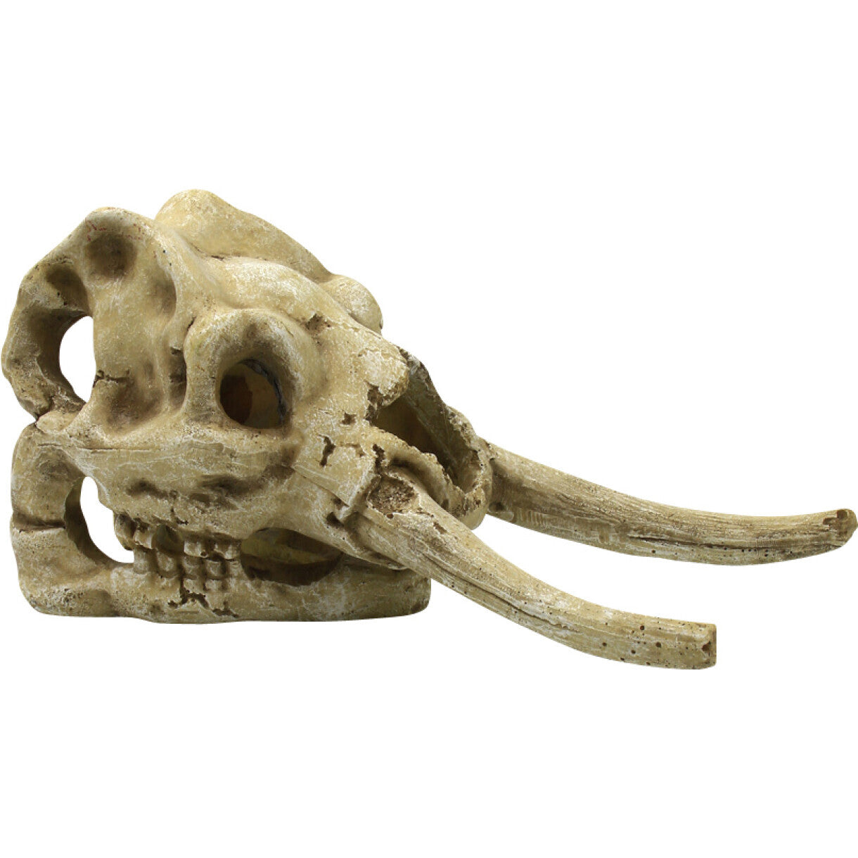 4FISH Aquarium Dekoration Totenkopf 23,5 x 12,1 x 11,8 cm