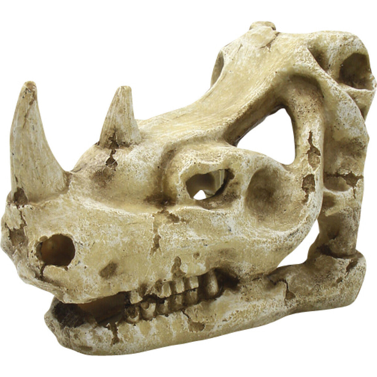 4FISH Aquarium Dekoration Totenkopf 16 x 9,5 x 10,7 cm