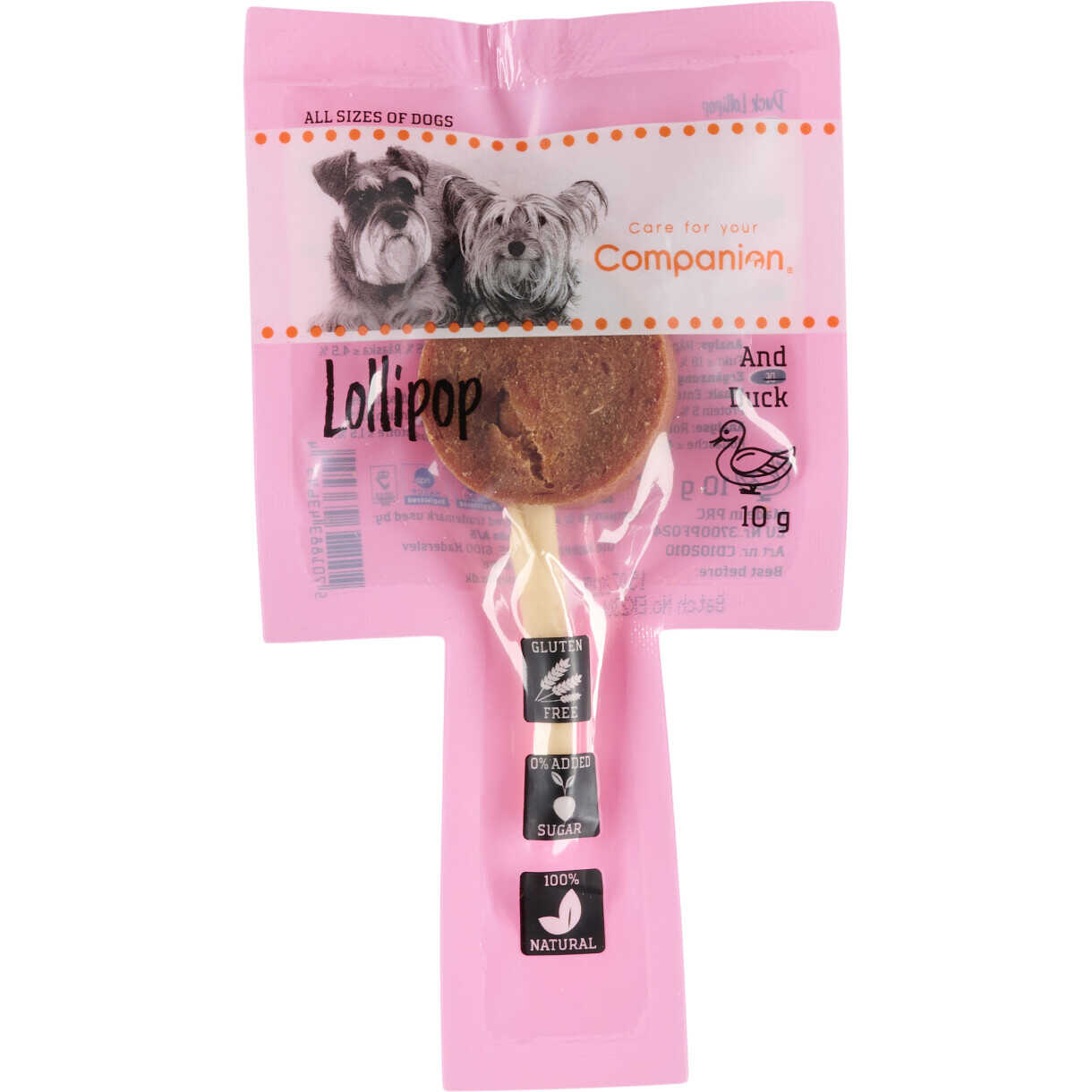 Companion Lollipop (und)