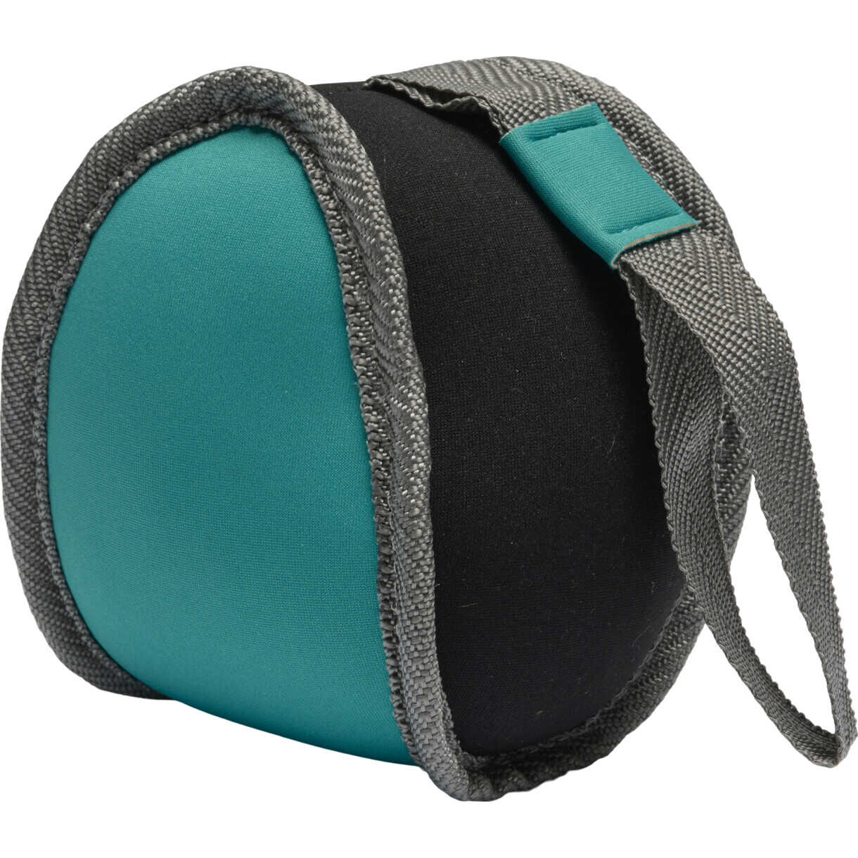 Companion schwimmender Wal