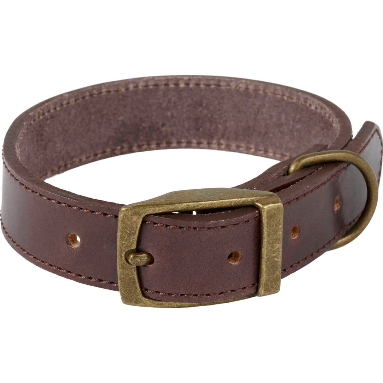 Companion Hundehalsband aus Leder