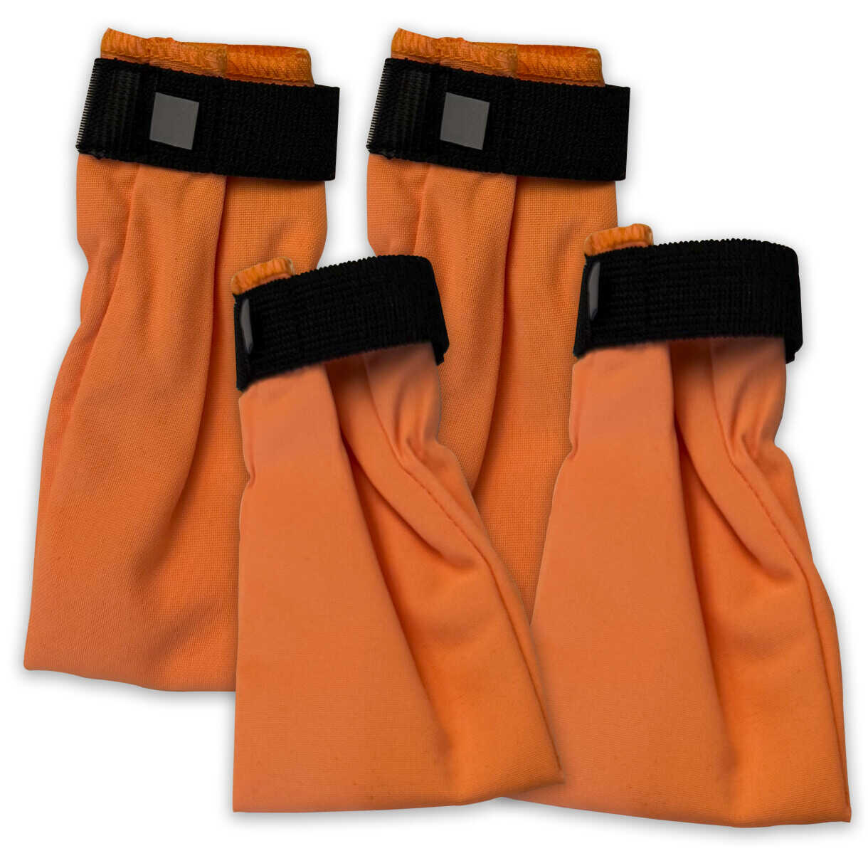 4 x Companion Hundesocken, kurz