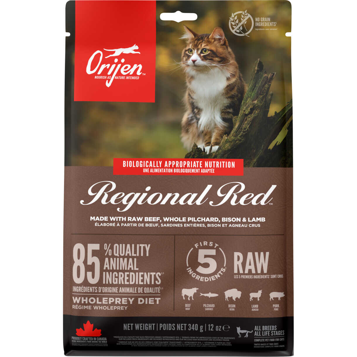 Orijen Regional Red Katzenfutter mit Rindfleisch, Sardinen, Bison und Lamm