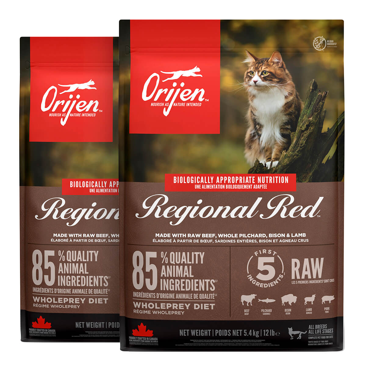 2 x 5,4 kg. Orijen Regional Red Katzenfutter mit Rindfleisch, Sardinen, Bison und Lamm