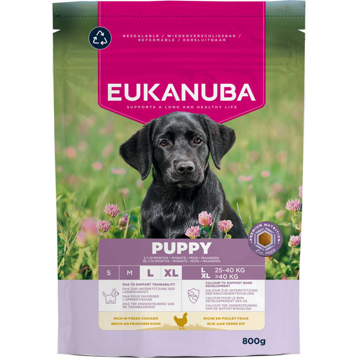 Eukanuba Puppy Welpenfutter für Welpen großer Rassen mit Huhn von 4 Wochen bis 12 Monaten