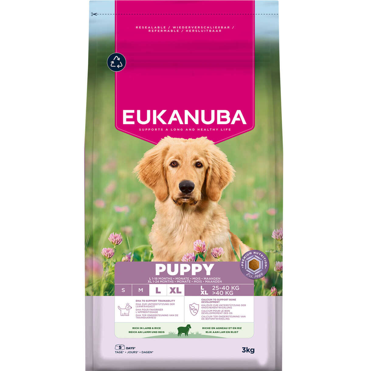 3 kg Eukanuba Puppy Large Breed mit Lamm und Reis Welpenfutter von 4 Wochen bis 12 Monate