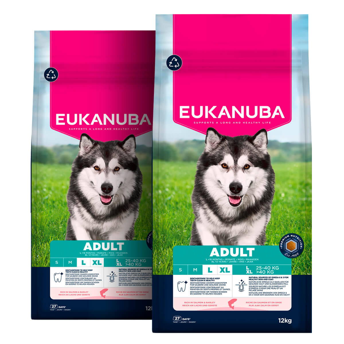 2 x 12 kg Eukanuba Hundefutter Adult große Rassen mit Lachs und Reis