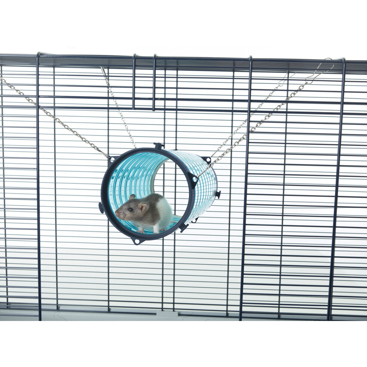 Rattentunnel 31 cm ø 11 cm