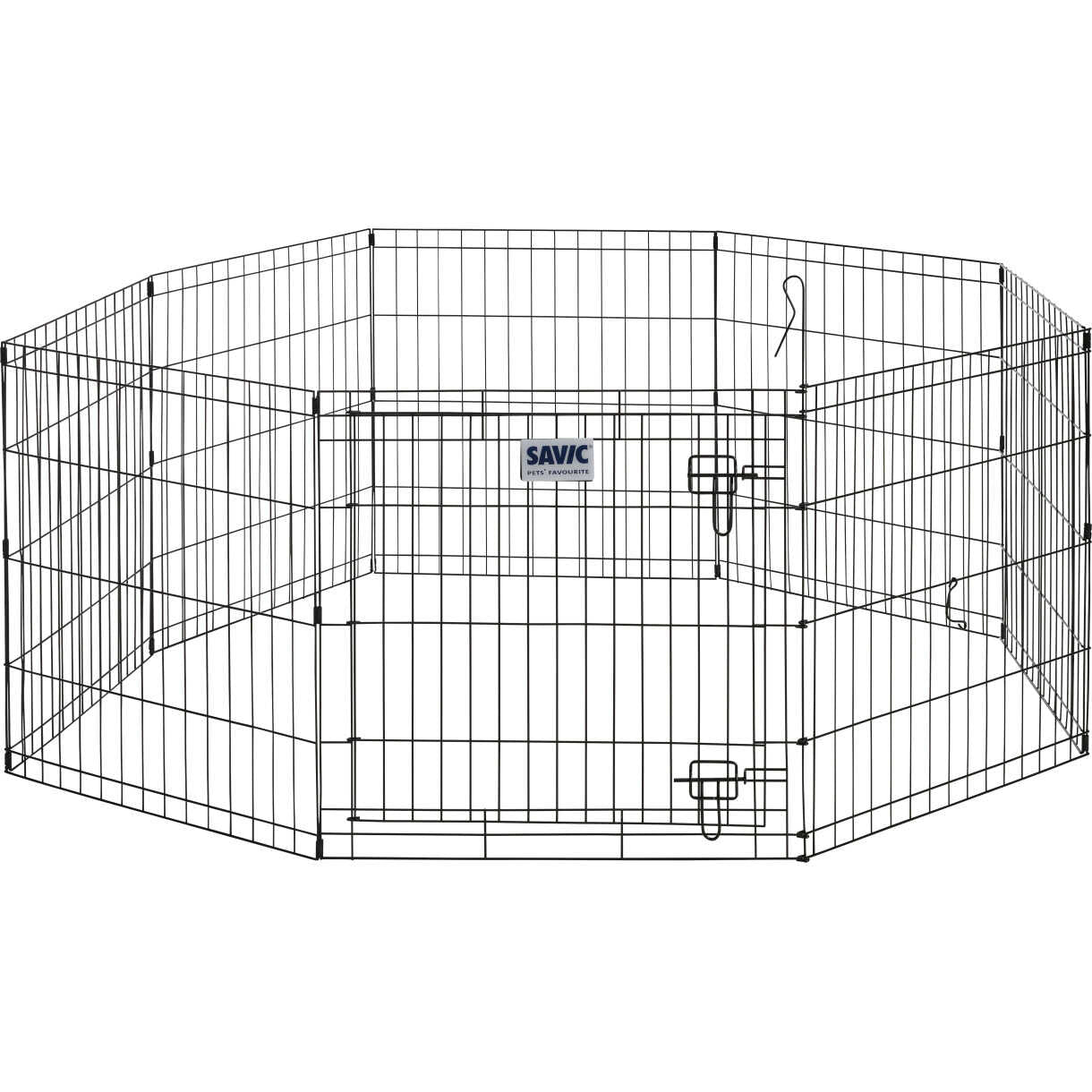 Savic Welpen und Hundezucht