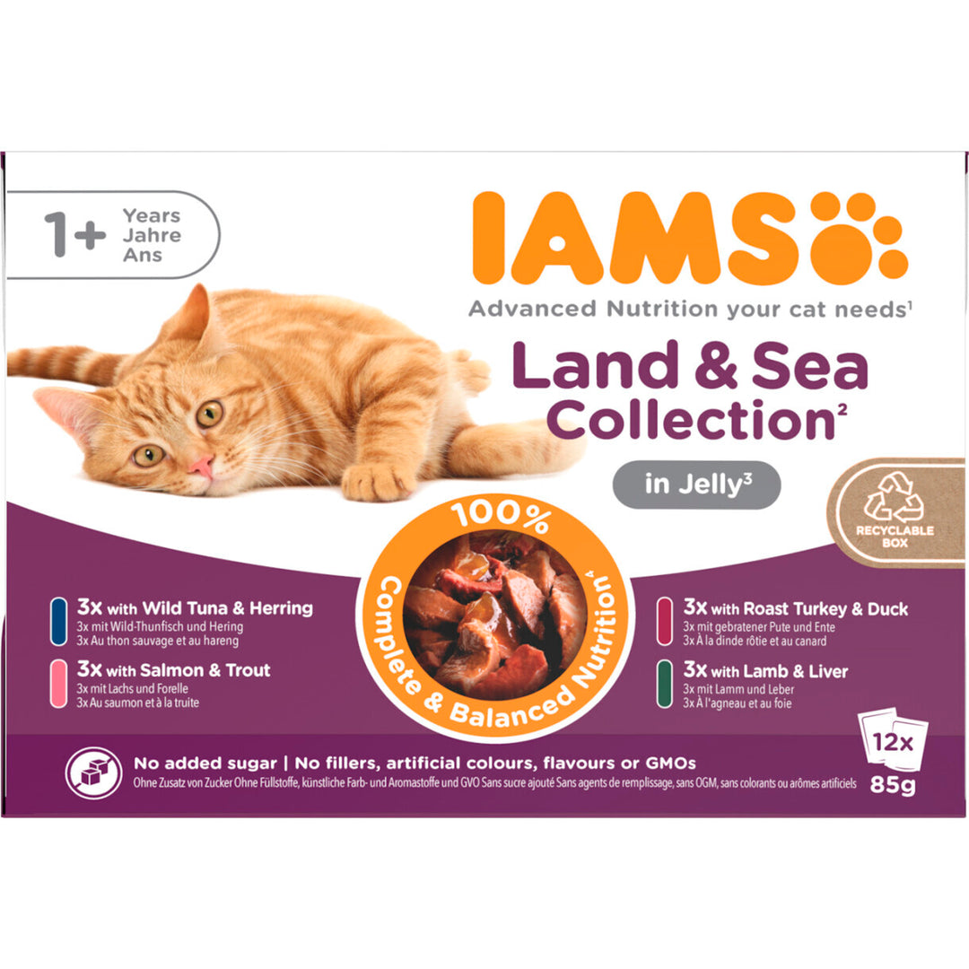 12 x 85 gr Iams DELIGHT Katzennassfutter - Fleisch und Fisch in Gelee - Menübox