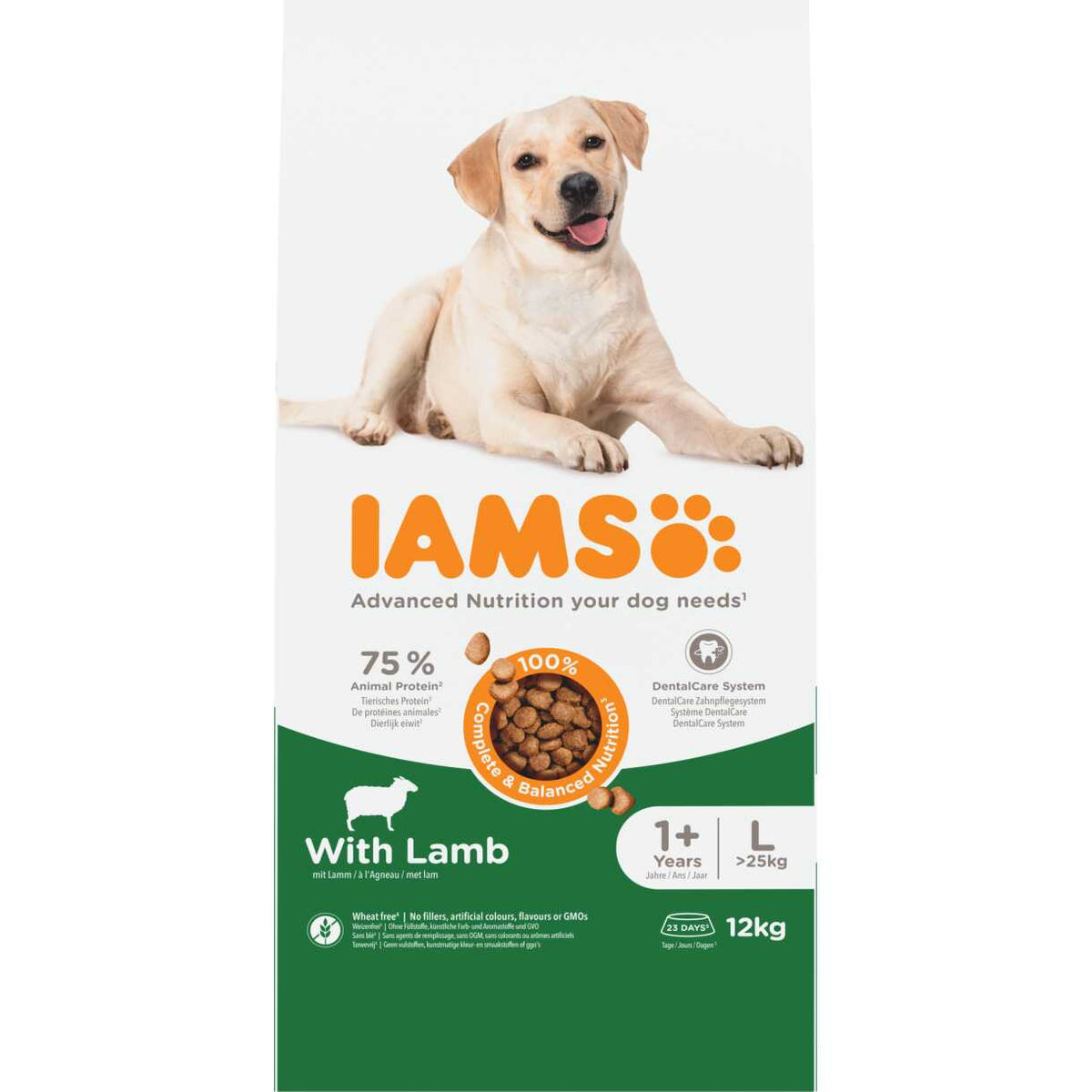 IAMS Adult Large Breed mit Lamm