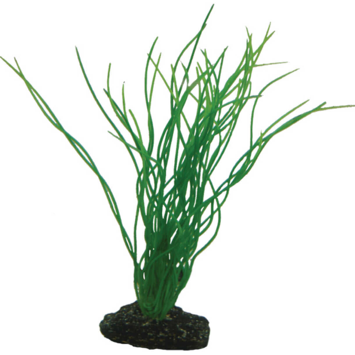 Aquarium Plastikpflanze Sagittaria, 20 cm