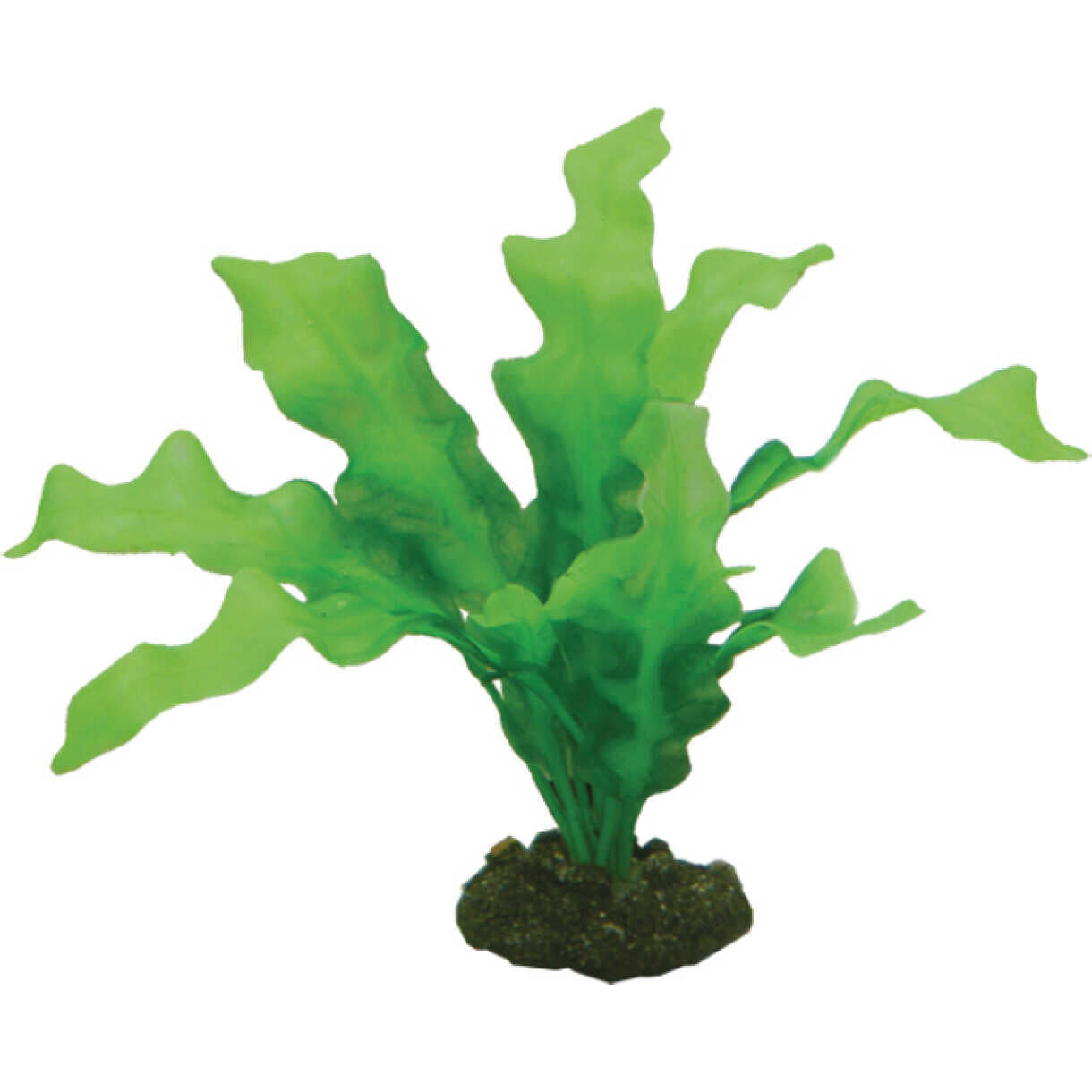 Aquarium Plastikpflanze Echinodrus, 20 cm