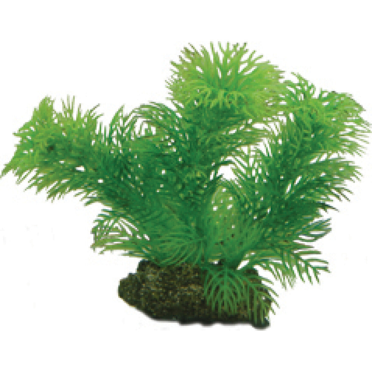 Aquarium Plastikpflanze Egeria