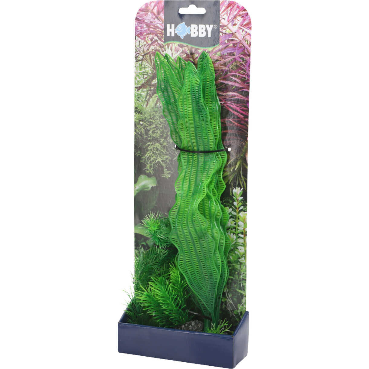 Aquarium Pflanzen Set 1