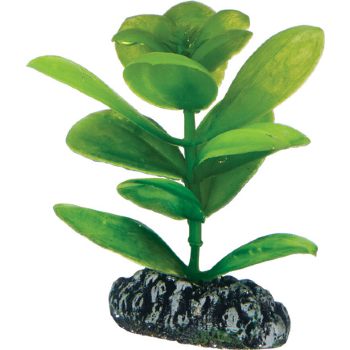 Aquarium Plastikpflanze Saururus